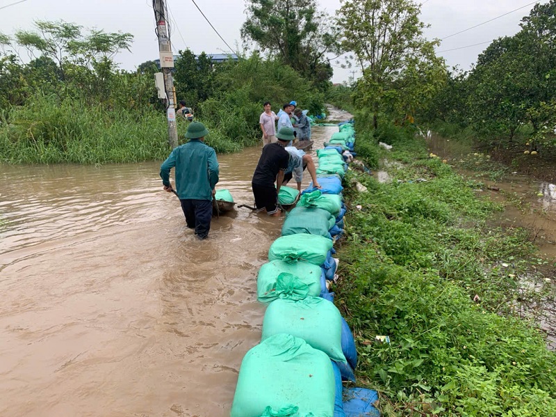 Các địa phương huy động lực lượng chống tràn đê